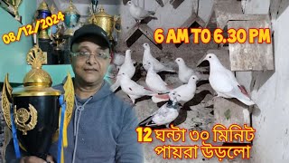 12 ঘন্টা ৩০ মিনিট পায়রা উড়লো 31 পায়রা উড়ান প্রতিযোগিতা চ্যাম্পিয়ন anjon mistri New Barrackpore [upl. by Iliak884]