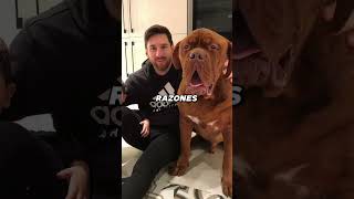 ⚽ ¡Messi abandonó a su perro en Europa 😭  fútbol 283 [upl. by Padget639]