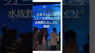 須磨水族館 子連れ旅行 シャチ シャチショー 神戸観光 神戸旅行 すぐオススメ水族館 須磨シーワールド 神戸須磨シーワールド [upl. by Agamemnon164]