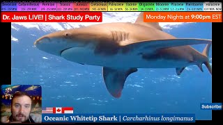 Dr Jaws LIVE 93 Oceanic Whitetip Shark Study Party [upl. by Ahsiel93]