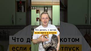 Что делать с котом когда уезжаете в отпуск  Лайфхаки от Нечетова  nechetoff  ПОДПИШИСЬ⬇️🔔 short [upl. by Lonni263]