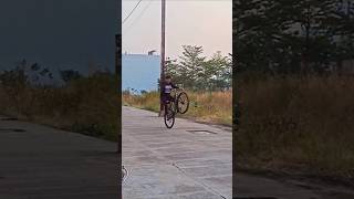 Manual×Stoppie 🗿⚡ cycle rollingstoppie stunt explorepage exploremore fypシ゚ viral popular [upl. by Immas]