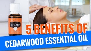 5 Benefits of Cedarwood Essential Oil [upl. by Yemane]