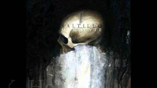 Saltillo  Monocyte 2012 Album Trailer [upl. by Chelsey]