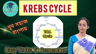 TCA CYCLE ।।Easy trick to Remember ।। Bengali Nursing Learner [upl. by Ahseinod]