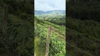 Sunday morning up Latrigg really quiet outdoorcamping wildcamping lakedistrict wildcamp [upl. by Jeggar]