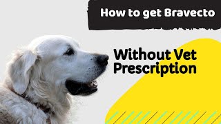 how to get bravecto without vet prescription  Dogs Ticks and Fleas Treatment [upl. by Akkin]