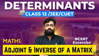 Adjoint amp Inverse of a Matrix 🔥 Determinants 04  Class 12 Maths Chapter 4  Class 12  JEE  CUET [upl. by Ahsat]