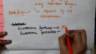 cofactors of glutatione synthase and glutathione peroxidase II biochemistry mp4 [upl. by Aifas]