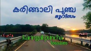 Karingali Puncha Nooranad Padanilam Alappuzha Tourism Kuttavanchi Karingali Puncha Now [upl. by Alana851]