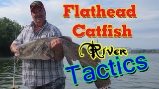 Catching huge flathead catfish using cut bait [upl. by Ancelin884]