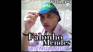 🧢Fabinho Mendes🧢 Vol19 Forró Passo a Passo Lançamento 2024  02 Gostoso [upl. by Sisto]