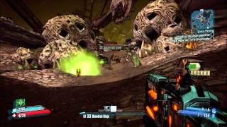 BCD Upload Borderlands 2 Bouncing Splitting Bullet Guns [upl. by Johppah]