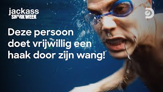 Jackass lokt de haaien op een open zee  Shark Week [upl. by Ivetts967]