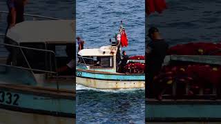 🚤✨ babor alger maghreb sea algeria dzpower oran world tiktokvideo shorts dz [upl. by Maurise109]