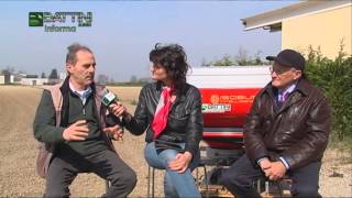 Battini Agri Informa 112014  Semina a diamante e concimazione [upl. by O'Neill477]