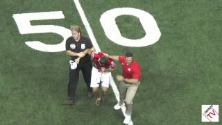 Anthony Schlegel Tackles Fan on Field [upl. by Siuqram]