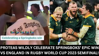 RWC 2023  England 1516 South Africa  Proteas Celebrate Springboks Epic Win [upl. by Ariuqahs]