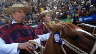 Lalo tamayo y Gustavo ValdebenitoChampion de Rancagua [upl. by Mayhew]