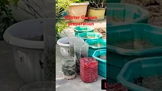 Winter Garden preparation importantgardenwork winterseason nature shortvideo terracegardning [upl. by Nodarb]