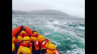 Corryvreckan Whirlpools and upwelling with Seafari Adventures [upl. by Faydra]