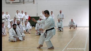 Masao Kagawa Shihan Junro Kata Details [upl. by Kcirdehs647]