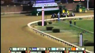 ZENYATTA  Final Career Race 20thavi [upl. by Munniks]