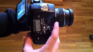 Sony A77  12 FPS  Shutter Speed Shooting AlphaDSLR Camera [upl. by Eitsirhc281]