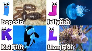 ABC phonics animals  ABC Sea Animals song  English and Animals for Kids  Alphabets Kids Song [upl. by Sherard256]