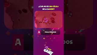 ¿”El simposio” por Platón es un texto filosófico que examina … culturageneral quiz trivia game [upl. by Aneladgam716]