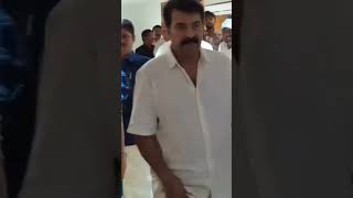 MAMMOOTTY sir latestmammookka mammootty megastar mammookkafans support subscribemychannel fy [upl. by Serles878]