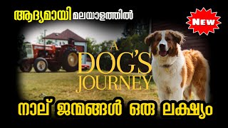 A Dogs Journey 2019 Movie Explained in Malayalam l be variety always [upl. by Bleier255]