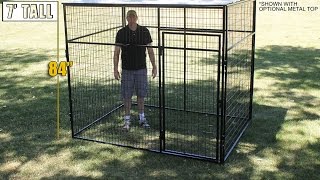 Stand tall in the 7’ tall dog kennel from K9 kennels [upl. by Joyan414]