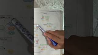 Kreb cycleTCA or Citric Acid cycle with pneumonic viralvideo clinicians biology education [upl. by Ainex883]