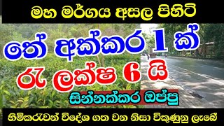 තේ අක්කර 1 ක් Rs ලක්ෂ 5 කට විකිණිමට Land sale 2024  land sale in sri lanka  aduwata idam [upl. by Azrim]