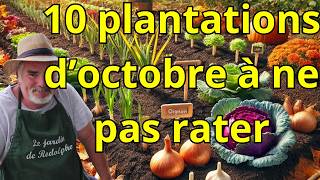 Que Planter en Octobre pour un Potager Productif au Printemps [upl. by Alyehs]