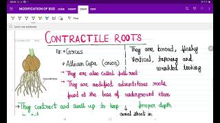 contractile root neetbiology nature [upl. by Atineg97]