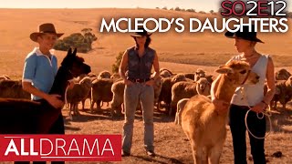 McLeods Daughters  Hounded  S02 EP12  All Drama [upl. by Eilrebmik]