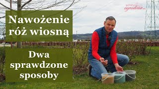 Jak nawozić róże wiosną Dwa sprawdzone sposoby  łatwy i tani Trzy różne nawozy Dawki i terminy [upl. by Cristi]