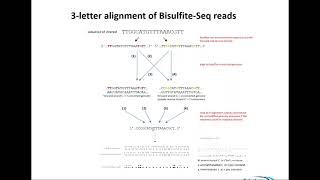 20171013 Bisulfite Sequencing Theory and Quality Control Dr Felix Krueger [upl. by Huang905]