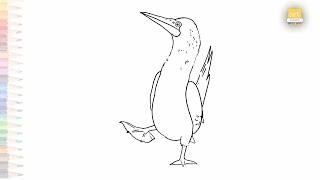 Blue footed booby drawing easy  Birds outline sketches  How to draw A Blue footed booby EASILY [upl. by Ralf]