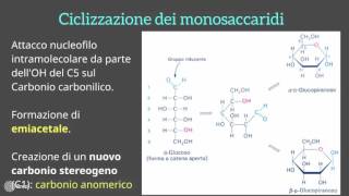 I carboidrati [upl. by Johnnie]