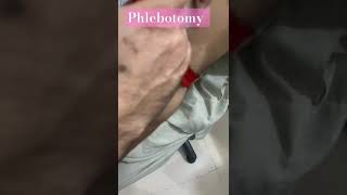 Phlebotomy trainingPhlebotomy short videoshorts youtubeshorts [upl. by Ahteres43]