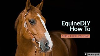 How To Apply Hoof Packing  EquineDIY [upl. by Haddad]