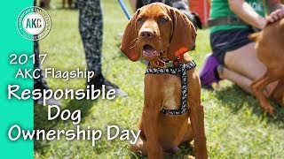 2017 AKC Flagship Responsible Dog Ownership Day [upl. by Tanner]