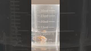 Watch Chemical Reaction between 10ml 3 Hydrogen Peroxide VS 02g Ear Wax earwax earwaxremoval [upl. by Weeks]