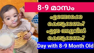 89 Month Baby Food ChartProtein Foods Weight GainingDetailed Diet PlanMalayalam [upl. by Ahsik965]