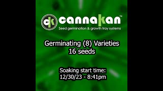 Seed germination time lapse 3 days Part 1 [upl. by Gierk778]