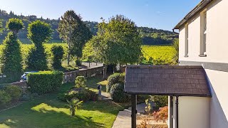 Visiting Denbies Vineyard and Hotel [upl. by Stetson651]