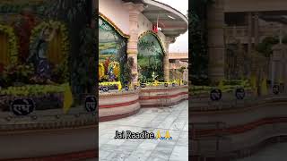 Jai Radhe ðŸ™ðŸ™ vrindavan radhe krishnabhajan krishna music love vrialshort trendingshorts [upl. by Karine665]